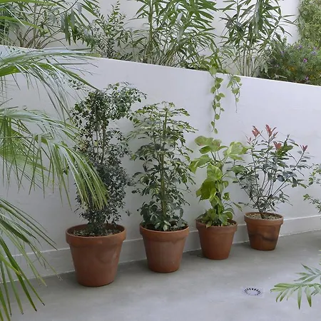 Art Gallery Apartament *