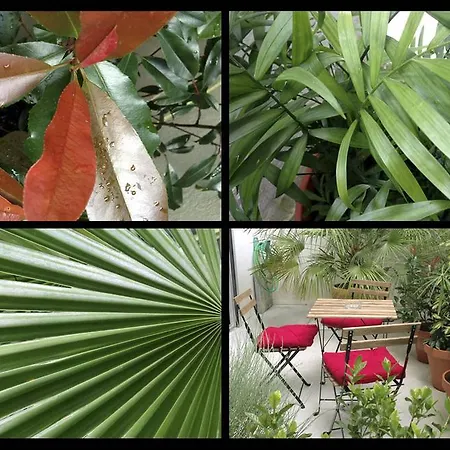 Appartement Art Gallery